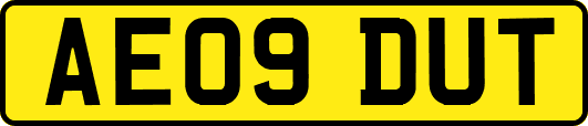 AE09DUT