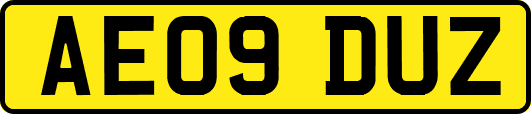 AE09DUZ
