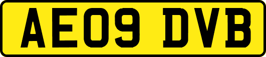 AE09DVB