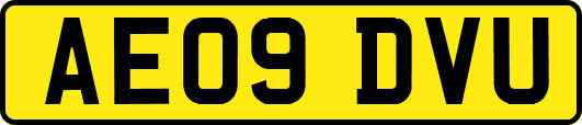 AE09DVU