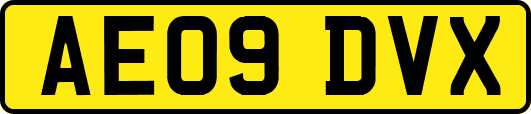 AE09DVX