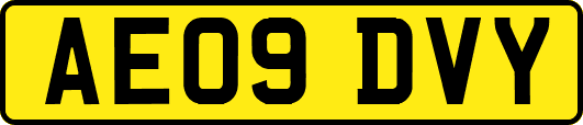AE09DVY