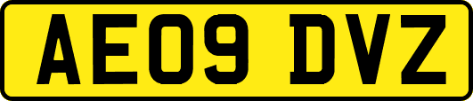 AE09DVZ