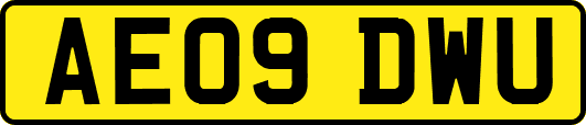 AE09DWU