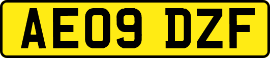 AE09DZF