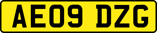 AE09DZG