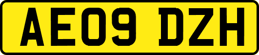 AE09DZH