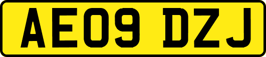 AE09DZJ