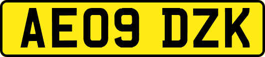 AE09DZK