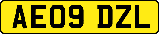 AE09DZL