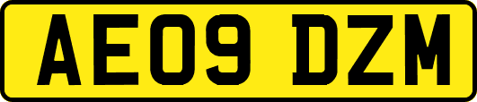 AE09DZM