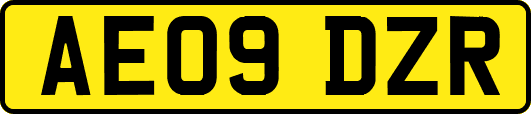 AE09DZR