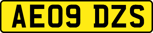 AE09DZS