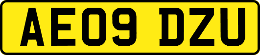 AE09DZU