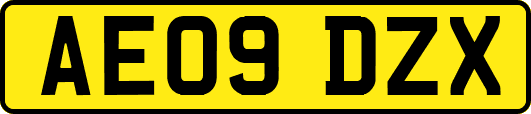 AE09DZX