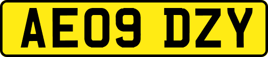 AE09DZY