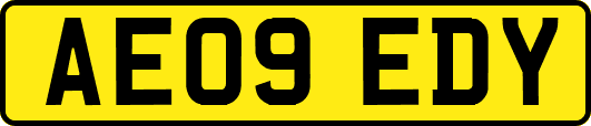 AE09EDY