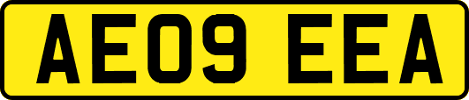 AE09EEA