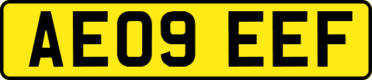 AE09EEF