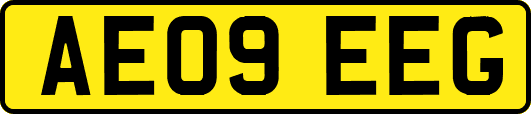AE09EEG