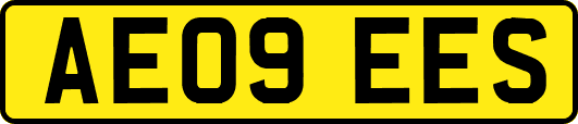 AE09EES