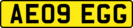 AE09EGG