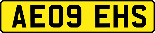 AE09EHS