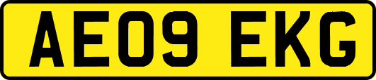 AE09EKG