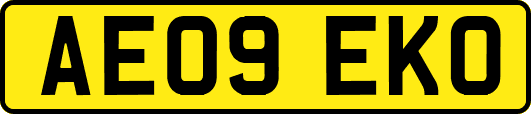 AE09EKO