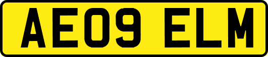 AE09ELM