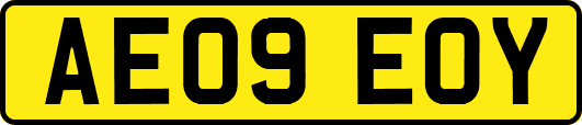 AE09EOY