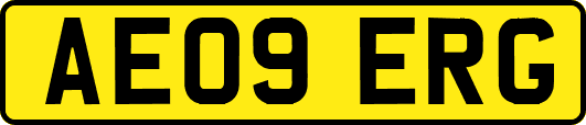 AE09ERG