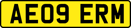AE09ERM