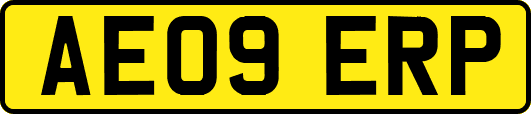 AE09ERP