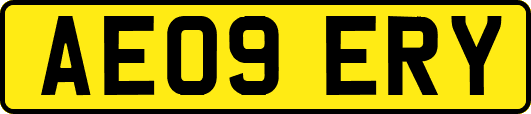 AE09ERY