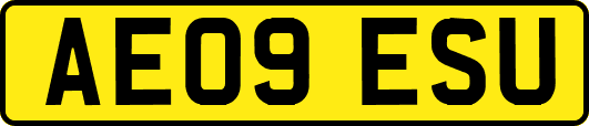 AE09ESU