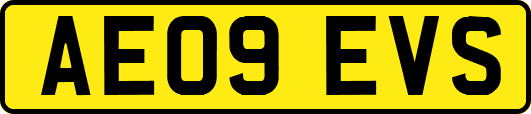 AE09EVS