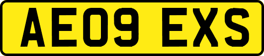AE09EXS
