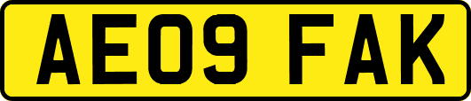 AE09FAK