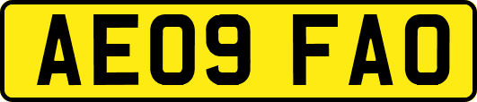 AE09FAO