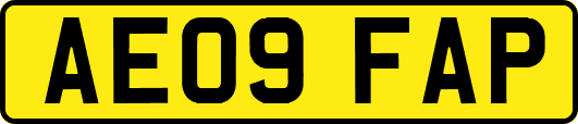AE09FAP