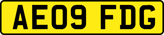 AE09FDG