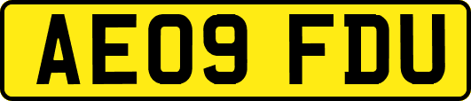 AE09FDU