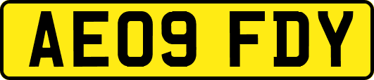 AE09FDY