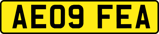 AE09FEA