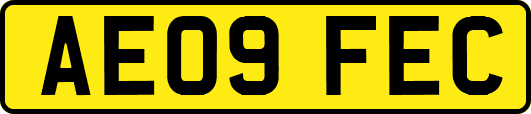 AE09FEC