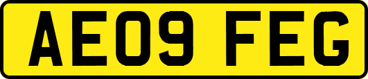 AE09FEG