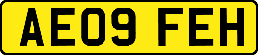 AE09FEH