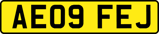 AE09FEJ