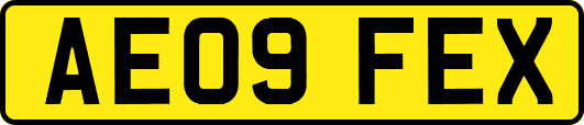 AE09FEX